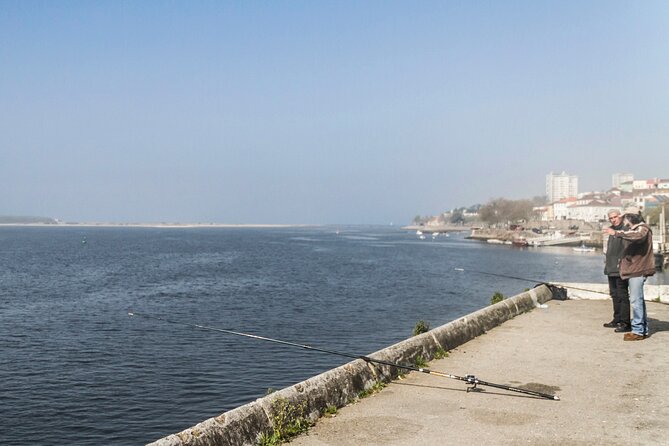 City Bike Rental in Porto - Additional Services Provided