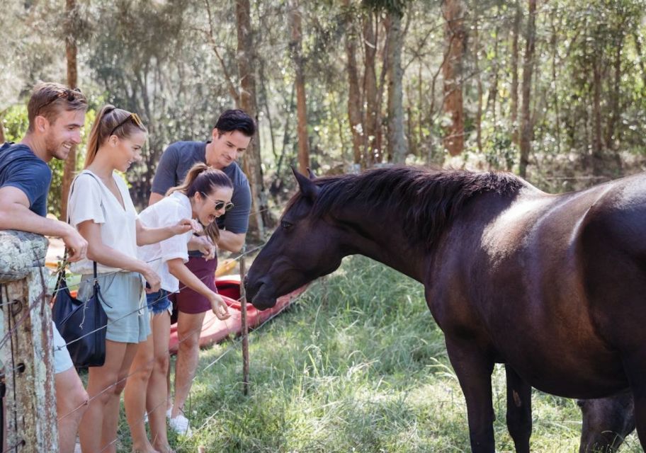 City of Side: Horseback Riding Experience With Instructor - Safety Guidelines