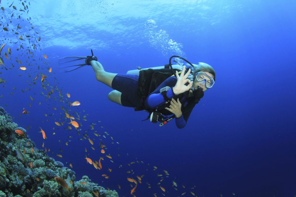 City of Side: Scuba Diving With Pickup, Lunch, and 2 Dives - Important Restrictions and Pricing