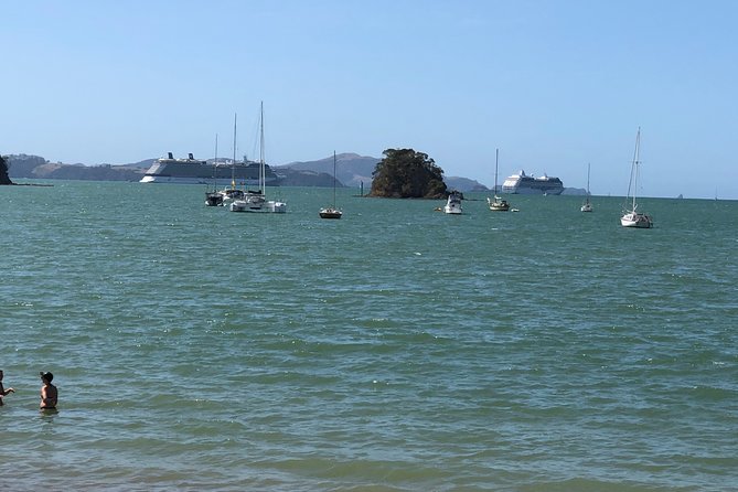 City to City Transfers (Auckland - Whangarei , Paihia ) - Additional Information and Tour Options