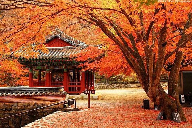 Classic Naejangsan National Park One Day Tour (Autumn Limited） - Booking Information