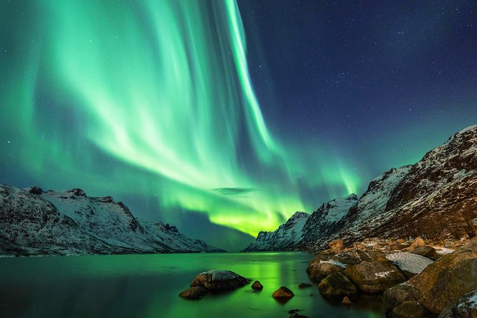 Classic Northern Lights Tour From Reykjavik With Live Guide and Touch-Screen Audio Guide - Pickup and Drop-off Details