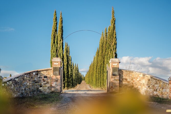 Classic Wine Tasting in Montalcino - Scenic Route and Location