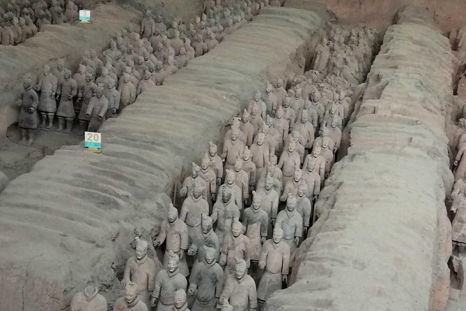 Coach Day Tour of Terracotta Warriors and Banpo Museum - Customer Reviews and Ratings