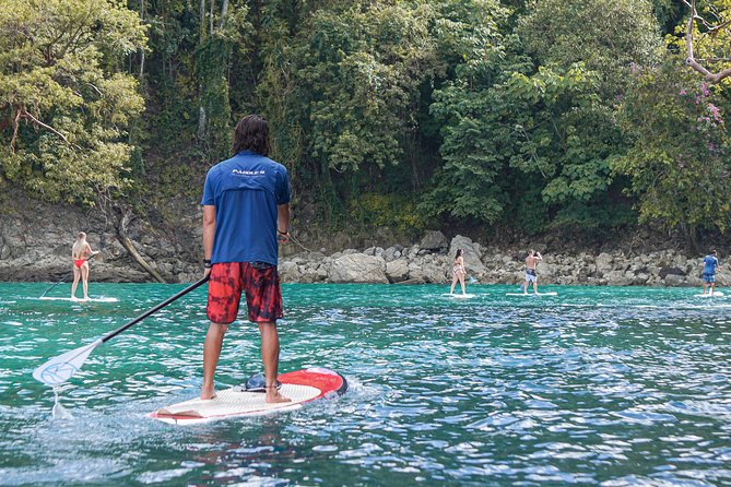 Coastline Paddle Board Tour - Customer Reviews