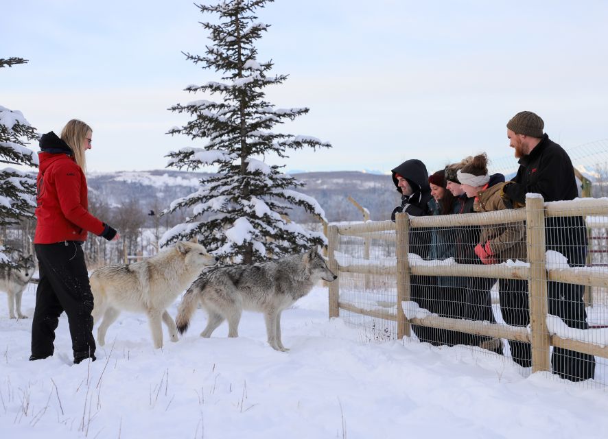 Cochrane: Yamnuska Wolfdog Sanctuary Tour - Location Details