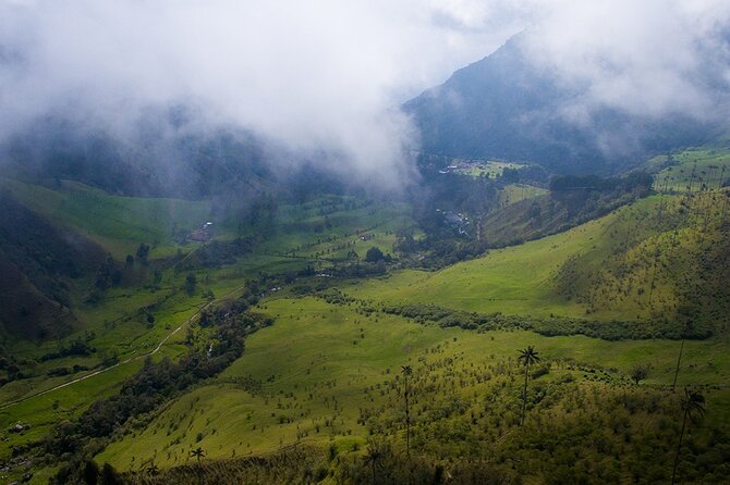 Cocora Valley and Salento Hike Tour - Pickup Locations and Transportation