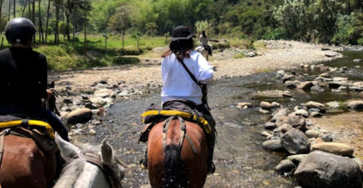 Cocora Valley and Salento Tour With Horseback Ride - Tour Description