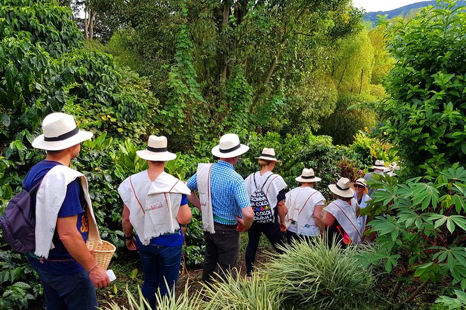 Coffee Tour at the Finca Del Café - Cancellation and Refund Policy