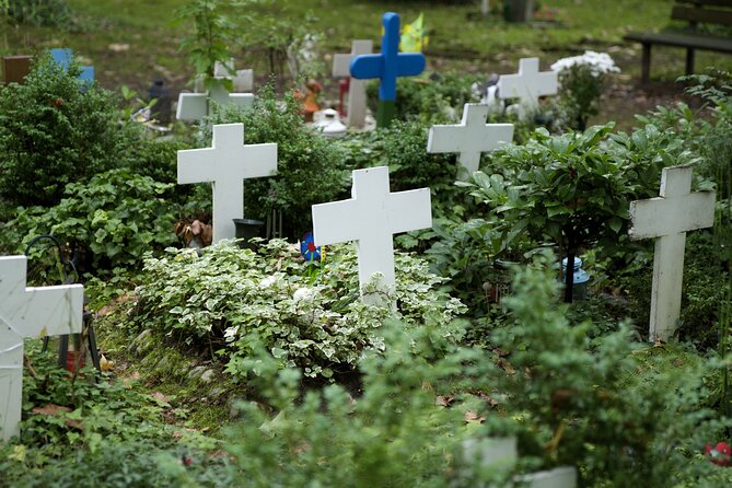 Cologne: Melaten Cemetery With Old Town Private Tour - Cancellation Policy