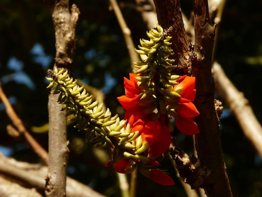 Colombia: Being a Collector of Wild Edible Plants - Rocket Wood Stove Assembly Tutorial