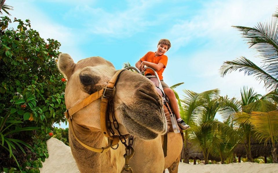 Combo Adventure: Parasailing and Camel Caravan in Maroma - Inclusions