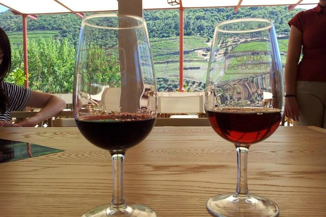 Complete Douro Valley Wine Tour With Lunch, Wine Tastings and River Cruise - Customer Reviews and Feedback
