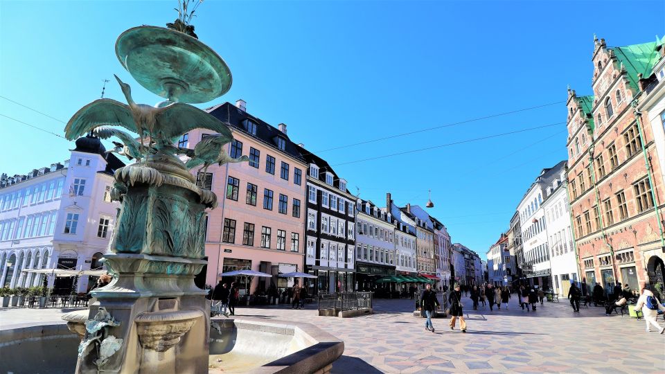 Copenhagen: 3-Hour Public Guided Walking Tour in French - Maximum Participants and Group Size
