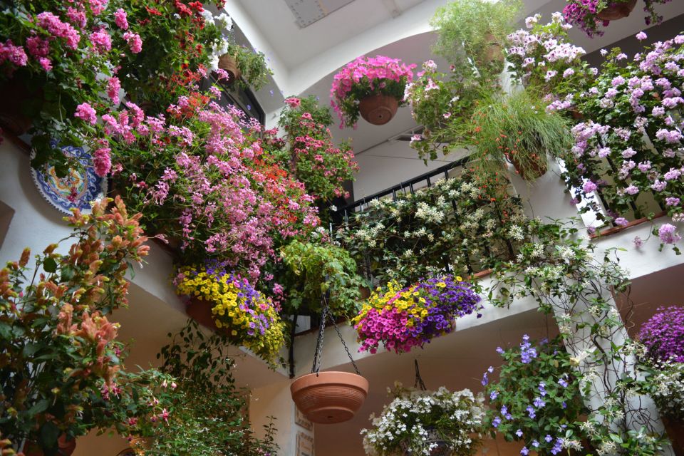 Cordoba: Patios & Flowers Private Walking Tour - Inclusions