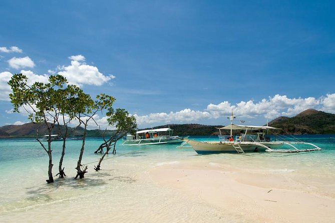 Coron Ultimate Tour (Shared Tour) - Recommendations