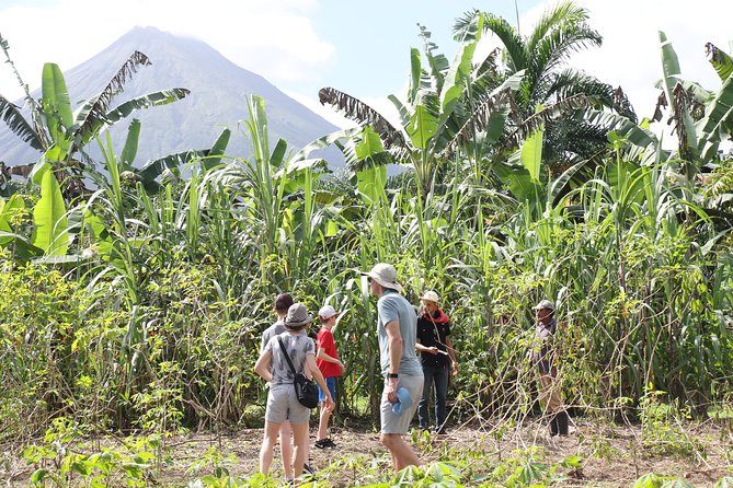 Costa Rica Descents Organic Farm - Common questions