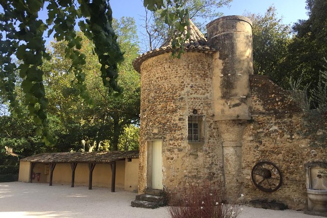 Côtes Du Rhône Wine Tour: Avignon, Palace of the Popes - Group Size Limit