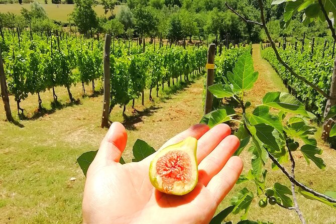 Countryside MTBike Rieti Valley Tour - Additional Details