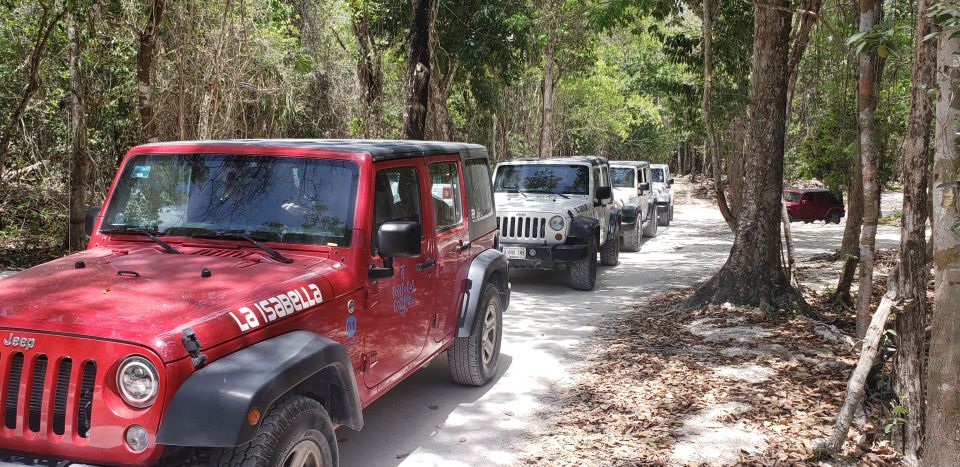 Cozumel: Private Jeep Tour Shore Excursion - Tour Highlights