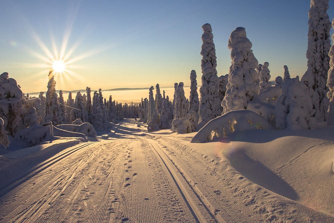 Cross-Country Skiing Guided Tour From Prague - Common questions