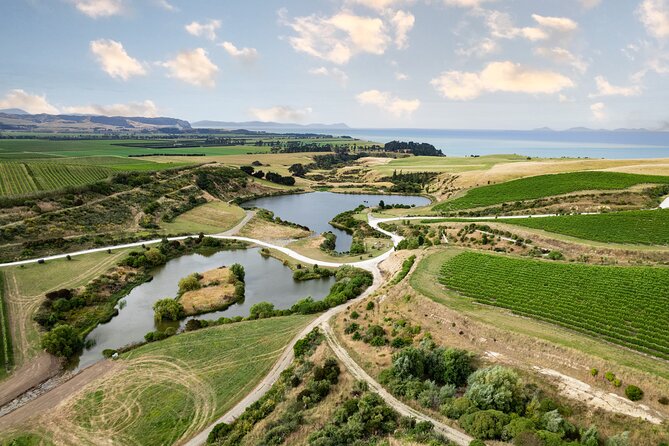 CRUISE SHIP DAY Hop on Hop off Yealands & Marlborough Tour - Whats Included