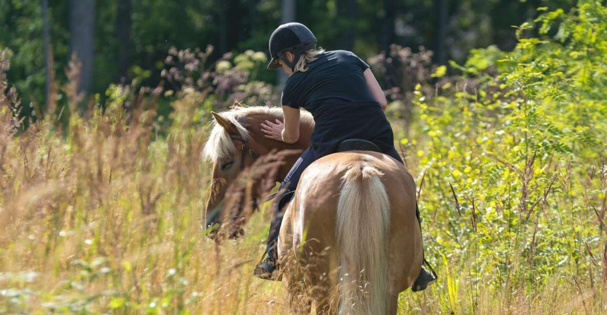 Cruseilles: Horseback Riding in the Countryside - Participant Selection and Requirements