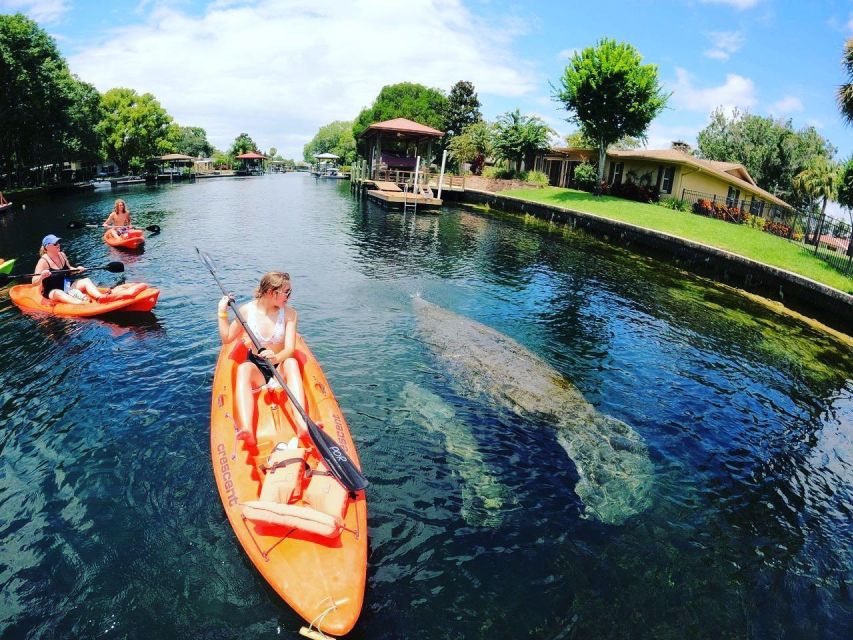 Crystal River: Kayak Rental - Experience Highlights