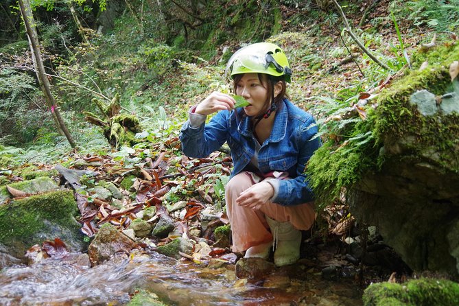 Cultivate Organic WASABI - Hands-On Cultivation Experience