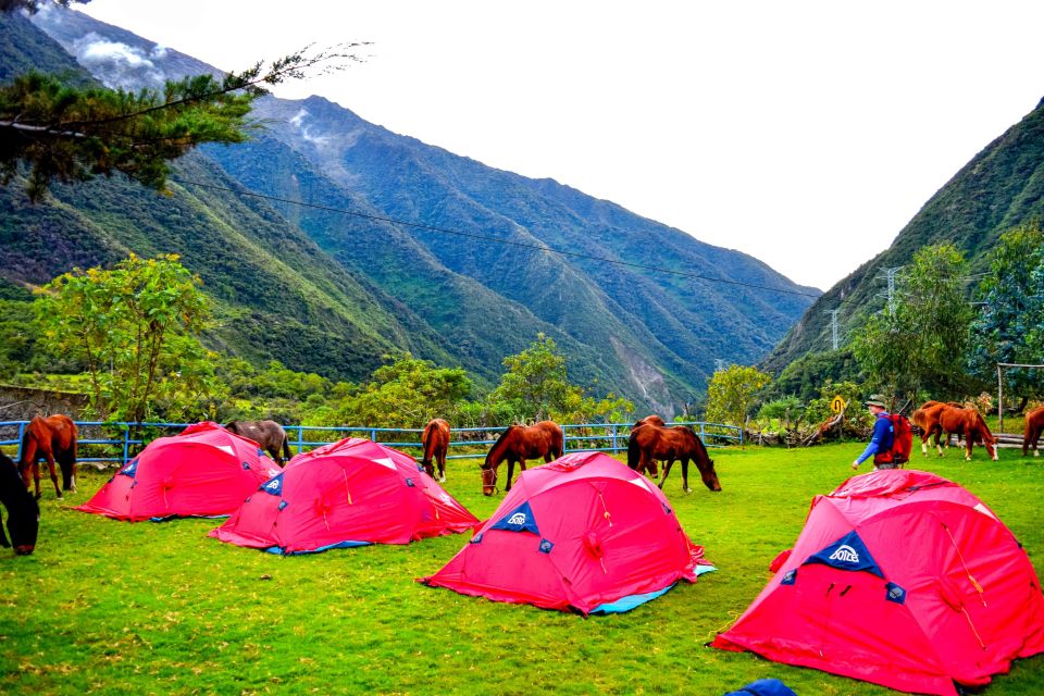 Cusco: 5-Day Salkantay Ultimate Trek to Machu Picchu - Inclusions