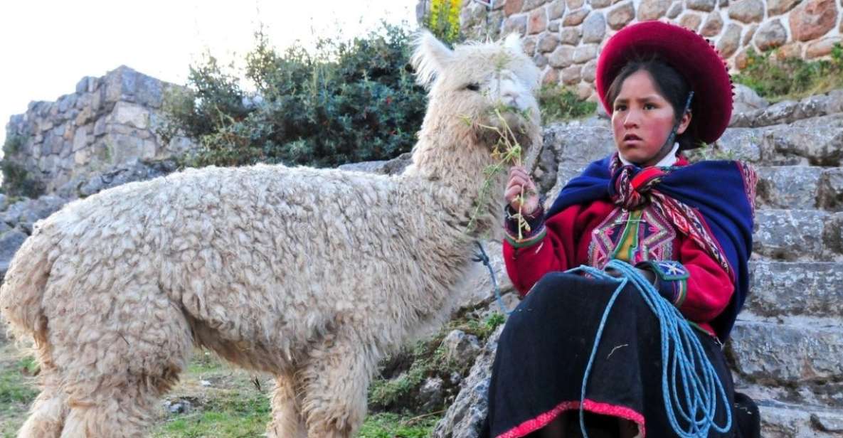 Cusco: Alpaca Therapy Healing With Clay - Lunch - Private - Booking and Reservation Details
