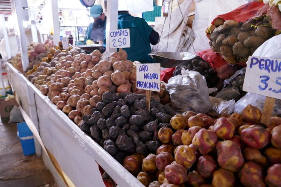 Cusco: Ceviche and Saltado Lomo Peruvian Kitchen Classes - Language and Instruction