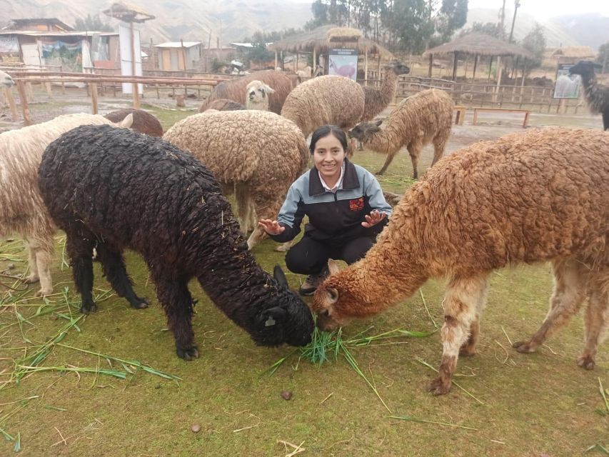 Cusco: City Tour Photography Experience - Best Photo Spots in Cusco