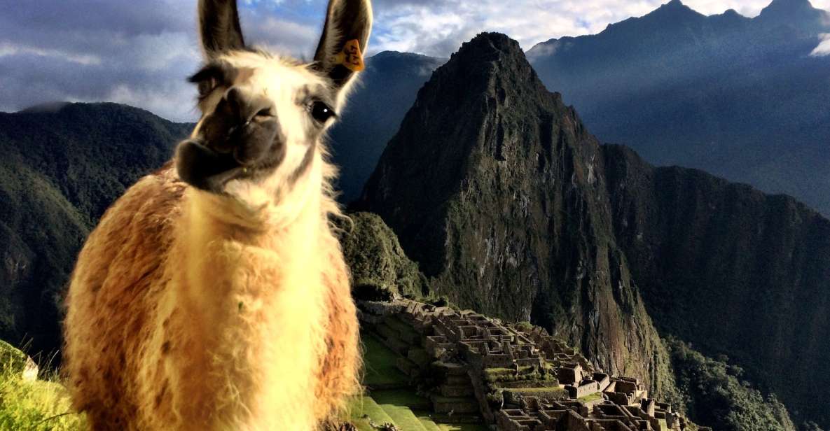 Cusco: Full-Day Machu Picchu Tour - Highlights