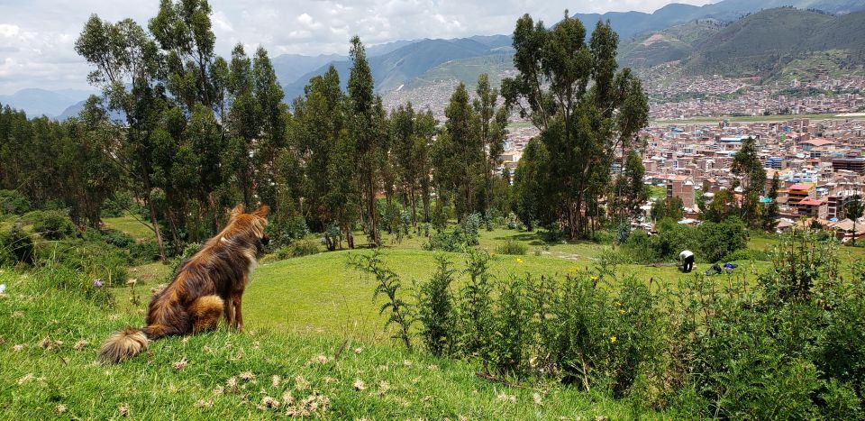 Cusco: Hidden Incan Temples Full-Day Horseback Riding Tour - Tour Description