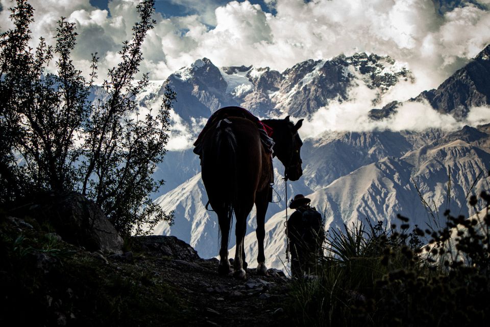 Cusco: Horseback Riding Trek to Machu Picchu 5 Days - Inclusions