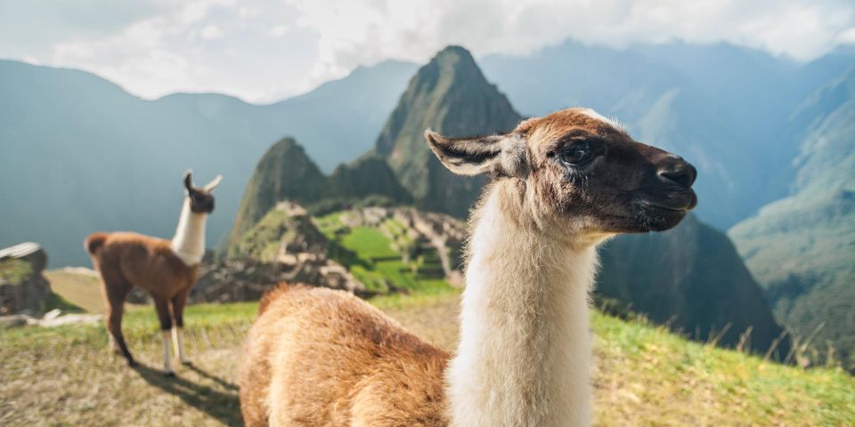 Cusco: Sacred Valley Connection With Machu Picchu 2 Days - Booking Details