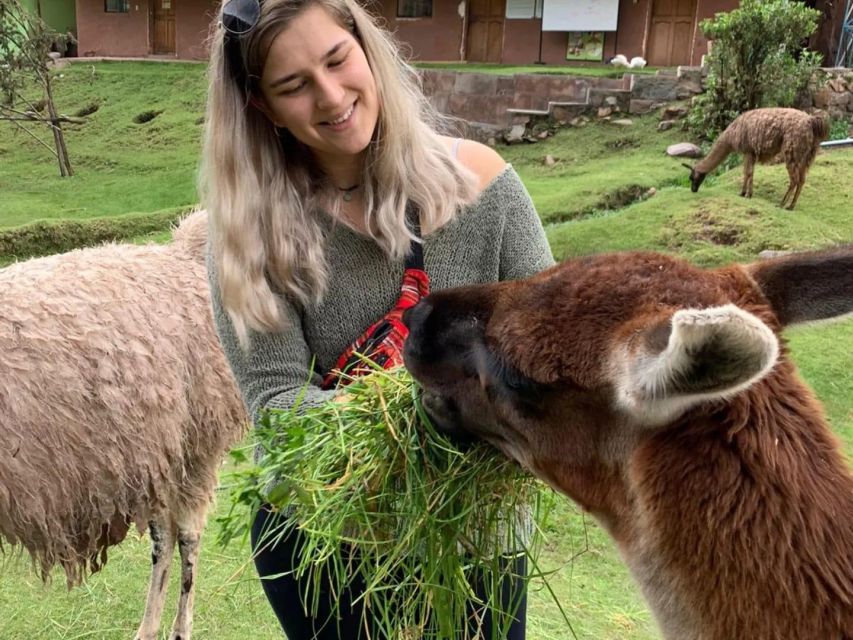 Cusco: Sanctuary of Animals Rescued "Cochahuasi" - Transportation Information