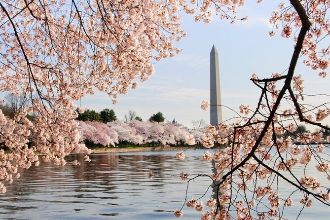 D.C. Cherry Blossoms: Escorted Bus Tour From Toronto - Meeting Points