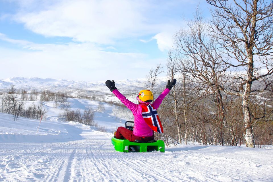 Dagali: 2-Hour Racing Toboggan Adventure - Participant Requirements and Safety