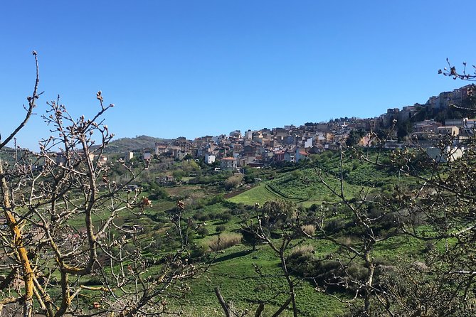 Daily Biking in the Rural Sicily - Authentic Rural Life Experiences