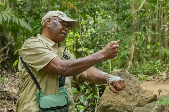 Daintree Rainforest, Mossman Gorge & Beach Day Tour W/Aboriginals - Cultural Experiences