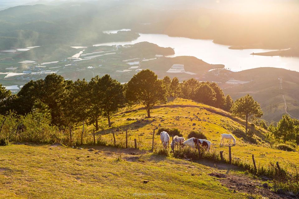 Dalat: 3D2N Nature Tour With Waterfall & Trekking - Cultural Visit to Truc Lam Monastery: Day 2