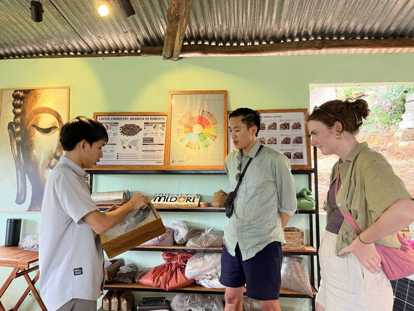 Dalat Organic Farm, Discover How to Make Specialty Coffee - Organic Farming Practices Explained