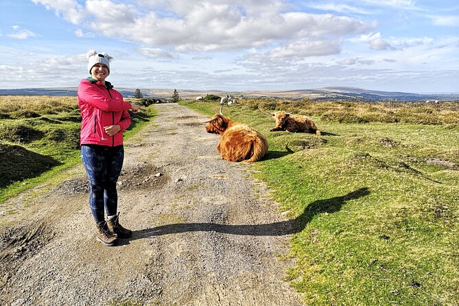 Dartmoor: Land Rover Discovery Private Driving Tour  - Devon - Booking and Cancellation