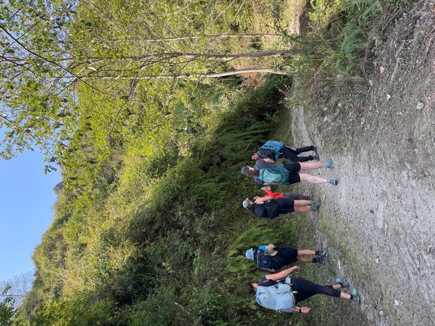 Day Hike: Surya Chaur to Kakani [11 KM] - Points of Interest