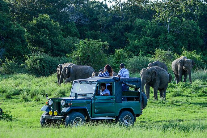 Day Tour From Colombo to Sigiriya, Pidurangala Rock & National Park Safari - Cancellation Policy