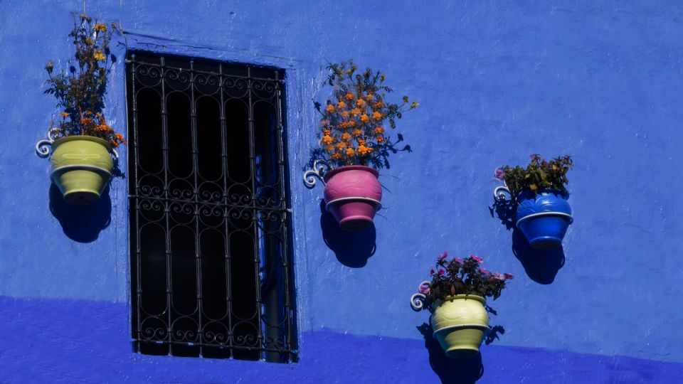 Day Tour to Chefchaouen From Fes With Local Expert - Booking and Reservation Details