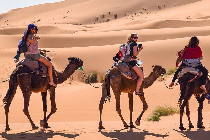 Day Trip From Errachidia to Merzouga Desert - Enjoy Camel Ride in Merzouga Desert