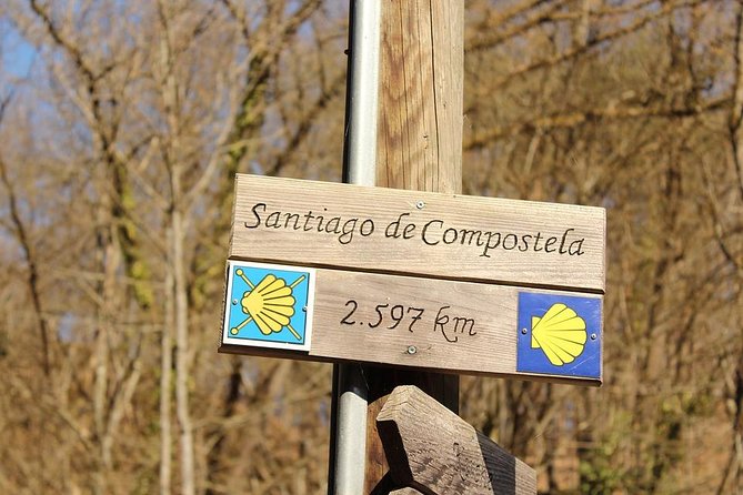 Day Trip From Porto to Santiago De Compostela and Valença - Positive Experiences Shared